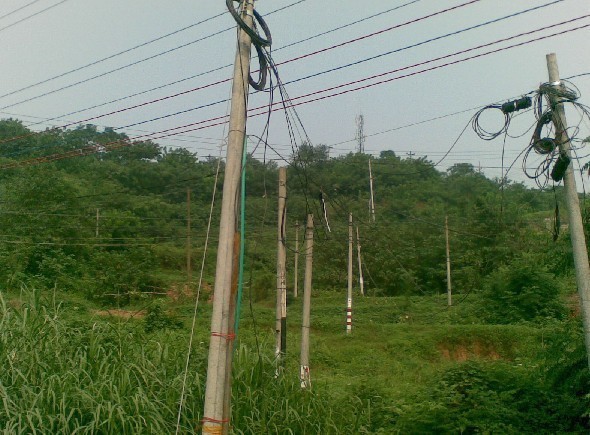 我公司中標-鄂爾多斯電業局2021年固定資產投資項目配網二批設備材料采購(包件1-7、 包件1-8、包件1-13) (二次)